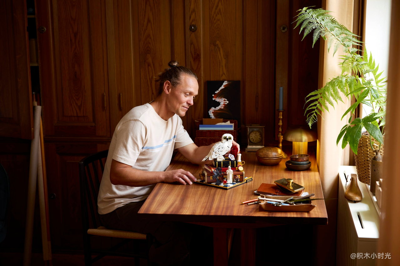 乐高 76466 《哈利·波特与魔法石》电影 – 收藏版