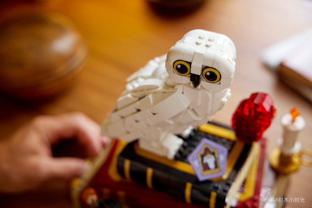 乐高 76466 《哈利·波特与魔法石》电影 – 收藏版