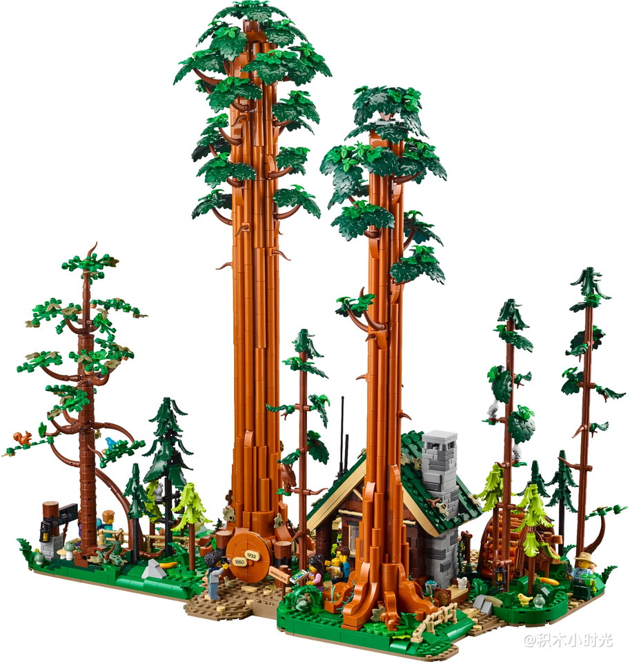 乐高 910058 红杉树步道