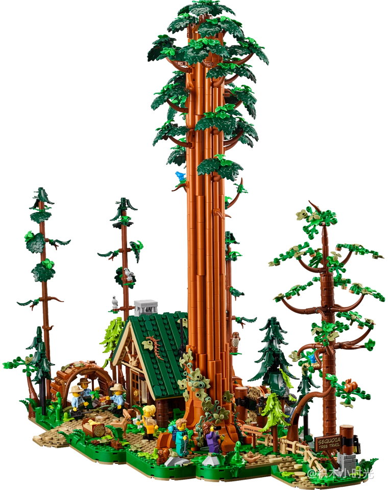 乐高 910058 红杉树步道
