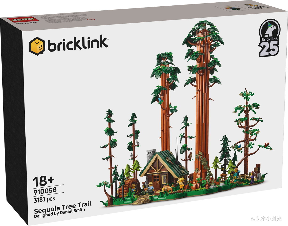 乐高 910058 红杉树步道