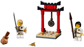 吴大师的训练