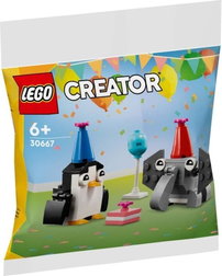 30667