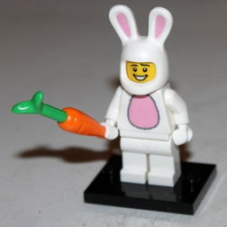 Bunny Suit Guy, Series 7