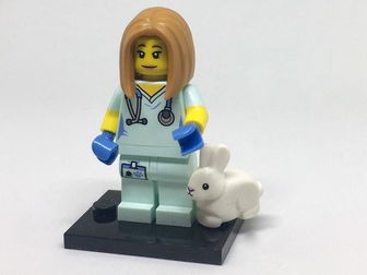 Veterinarian, Series 17