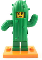 Cactus Girl, Series 18