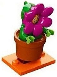 Flowerpot Girl, Series 18