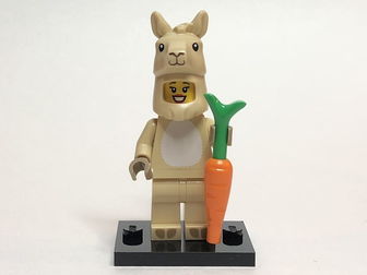 Llama Costume Girl, Series 20