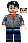 Harry Potter - Minifigure Only Entry 