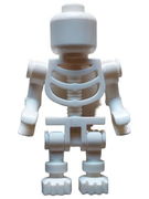 Skeleton with Plain Head