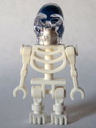 Akator Skeleton 