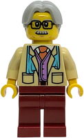 乐高人仔 Tourist