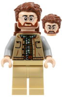 乐高人仔 Dr. Henry Loomis