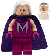乐高人仔 Magneto