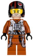 Poe Dameron (Pilot Jumpsuit, Helmet) 