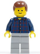 Plaid Button Shirt, Light Bluish Gray Legs, Reddish Brown Male Hair 