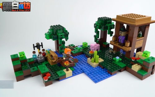 乐高LEGO★MineCraft我的世界21133女巫小屋【黑白评测】