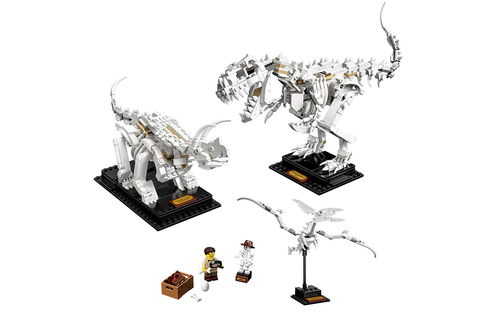 乐高 LEGO 21320 IDEAS系列 恐龙化石 2019速拼评测