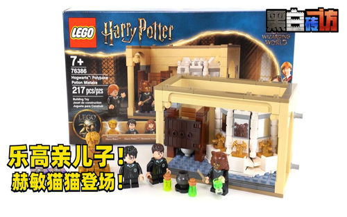 【黑白】乐高哈利波特76386赫敏猫猫登场！