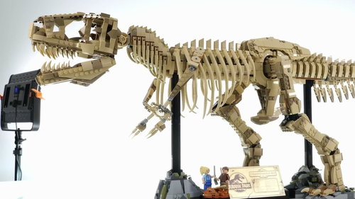 乐高侏罗纪世界 霸王龙化石 Dinosaur Fossils Tyrannosaurus rex 76968 速拼
