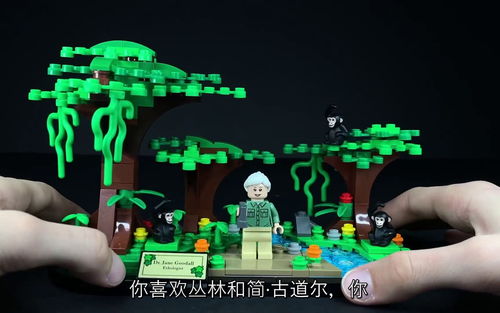 乐高生物学家简 古道尔 Jane Goodall  40530 评测