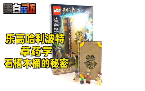 【黑白】乐高哈利波特76384草药学，石槽木桶的秘密？