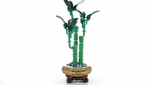乐高 Botanicals Lucky Bamboo 10344 速拼