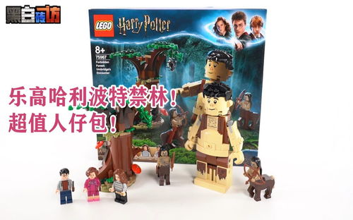 【黑白】乐高哈利波特75967禁林！超值人仔包！