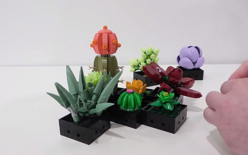 乐高花植系列新品多肉（10309）评测