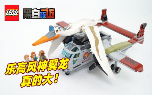 【黑白】乐高侏罗纪世界76947风神翼龙，真的大！