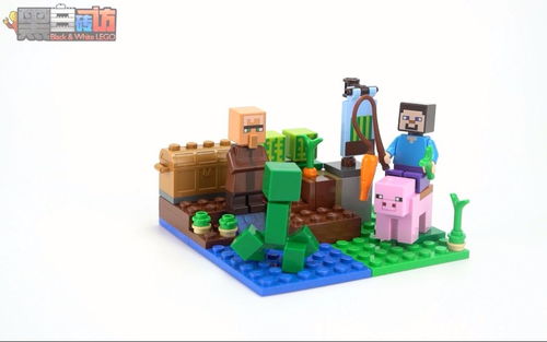 乐高LEGO★Minecraft我的世界21138甜瓜农场【黑白评测】
