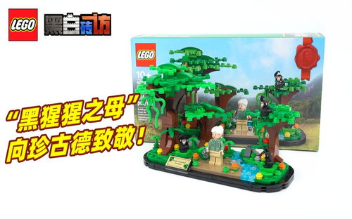 【黑白】乐高40530向黑猩猩之母珍古德致敬！